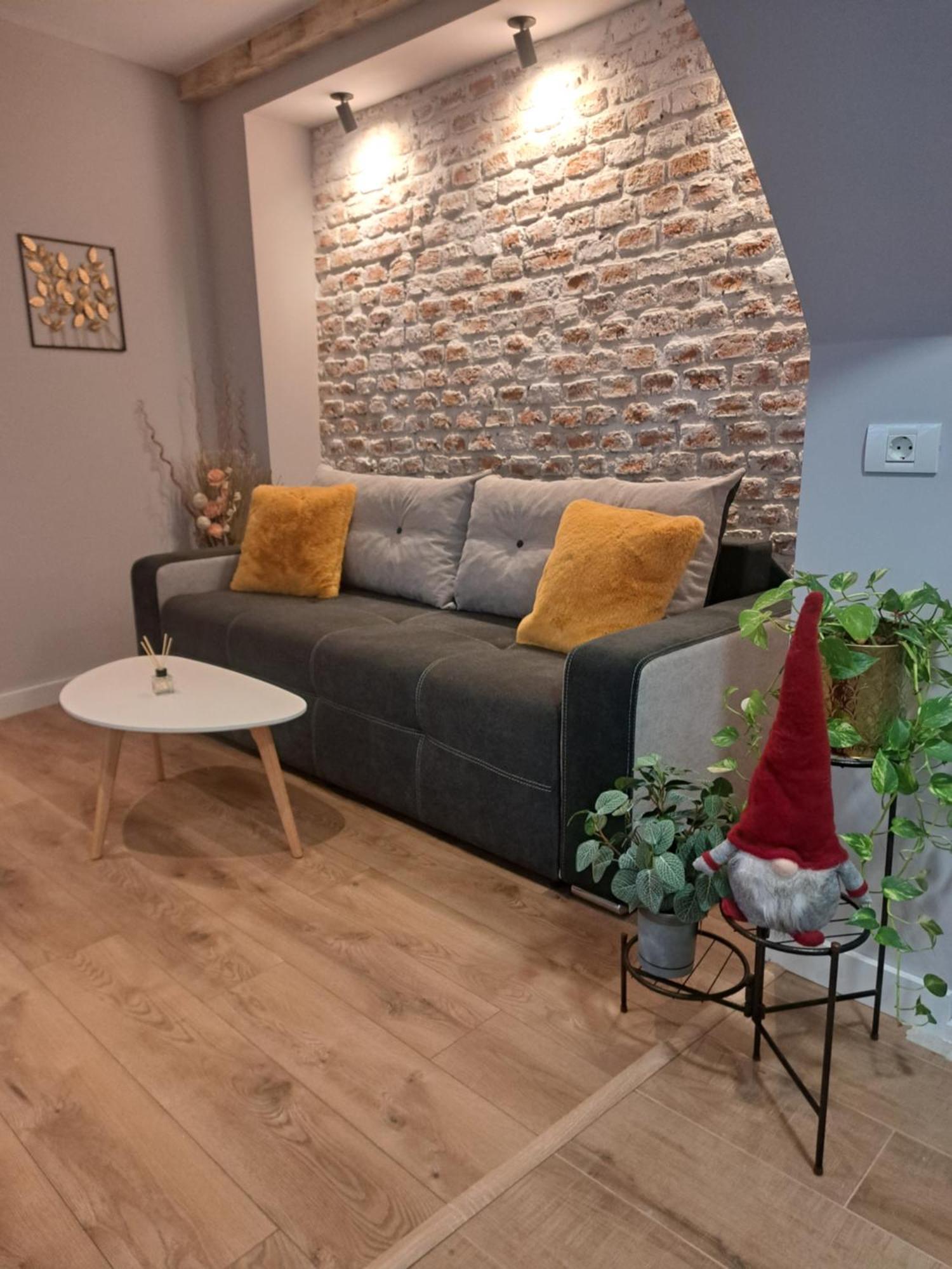 Apartamento Casa Ileana Centrul Vechi Braşov Exterior foto