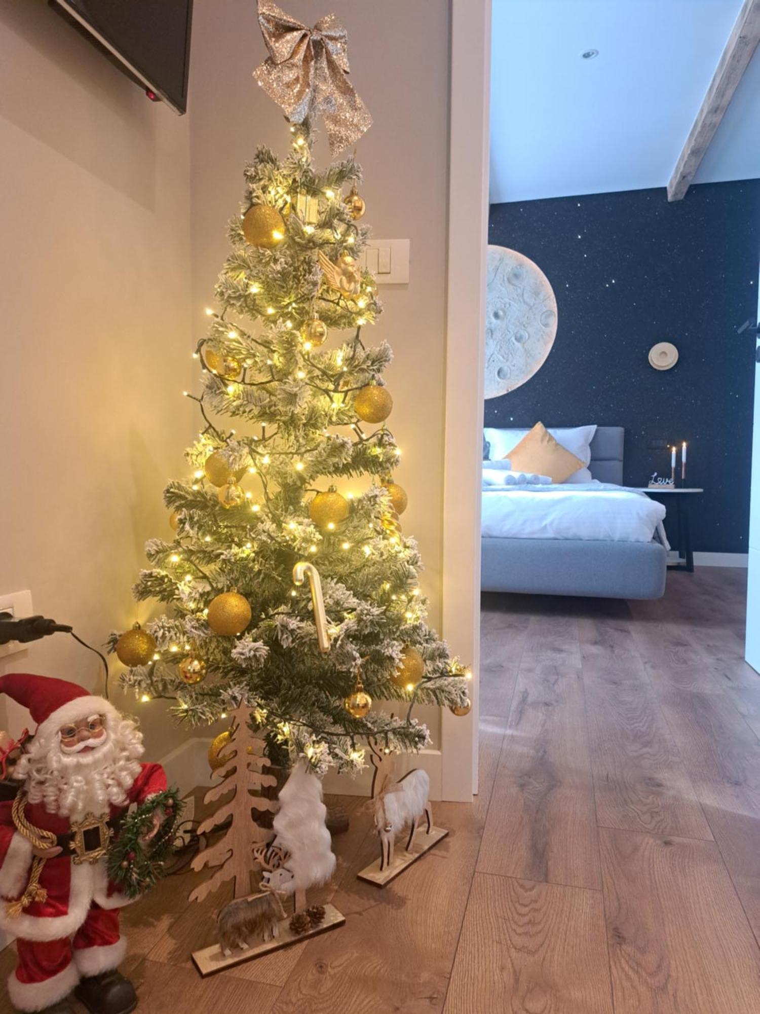 Apartamento Casa Ileana Centrul Vechi Braşov Exterior foto