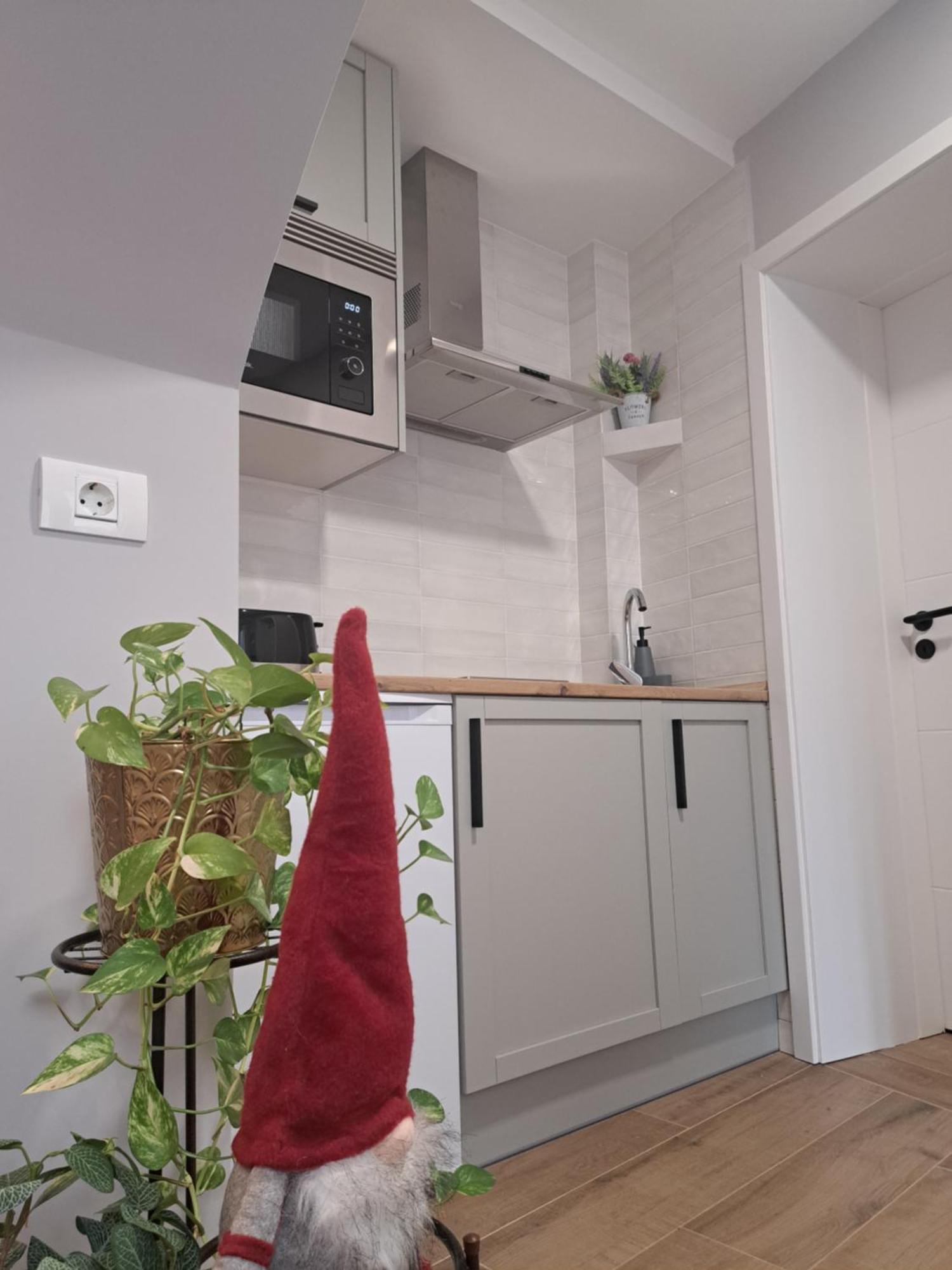 Apartamento Casa Ileana Centrul Vechi Braşov Exterior foto